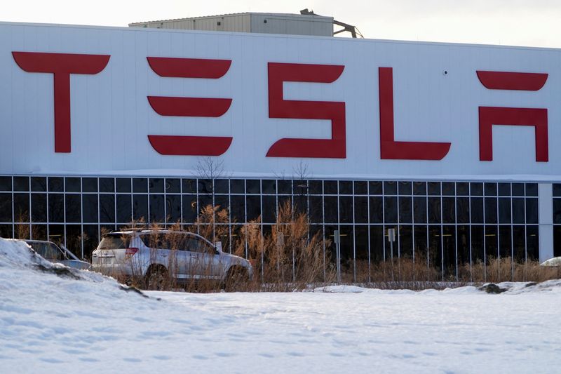 tsla2