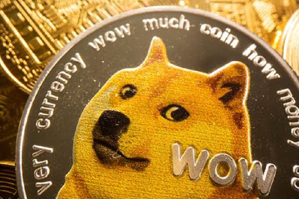 doge1