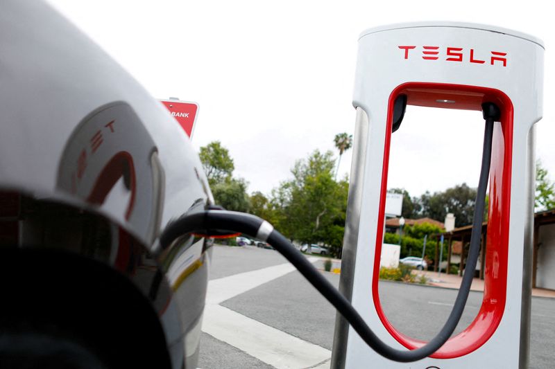 tsla1