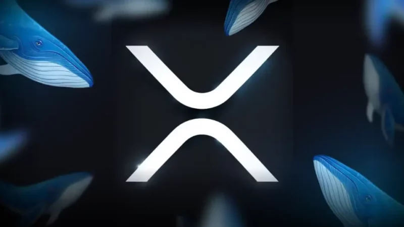 when will xrp price hit a new all time high 2026 05 19 19 18 48