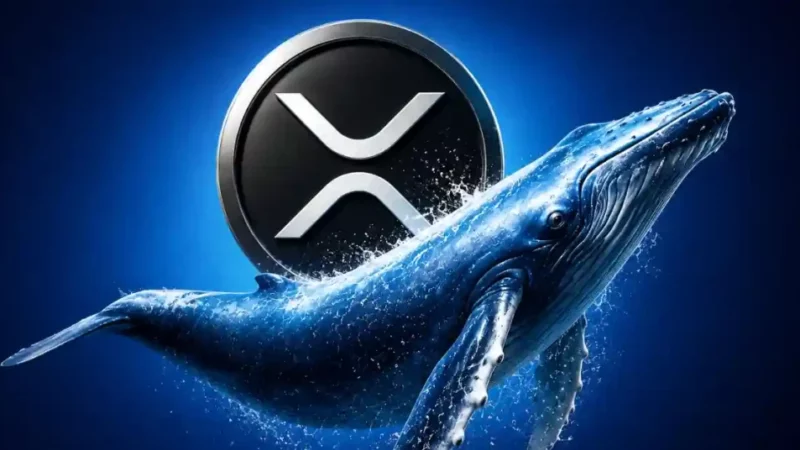 xrp beats bitcoin and ethereum in investor demand 2026 05 19 07 17 54