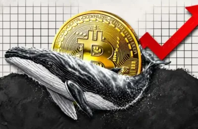 bitcoin whales defy volatility quietly accumulate btc at 17 discount 2026 07 22 05 39 57