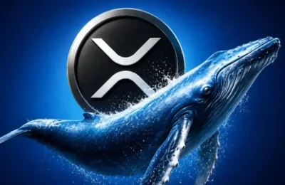 spot xrp etfs record largest outflow since march 2026 07 10 07 22 05